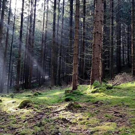 Nostalgisches Direkt An Der Zschopau Tatil Evi Tannenberg